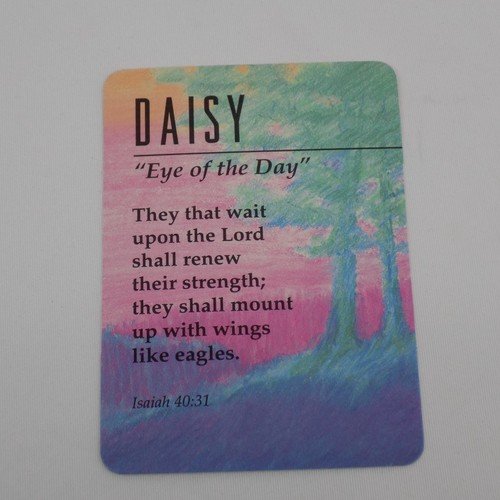 Daisy Eye of the Day Keepsake Name Meaning Card Bible Verse Christian JMar