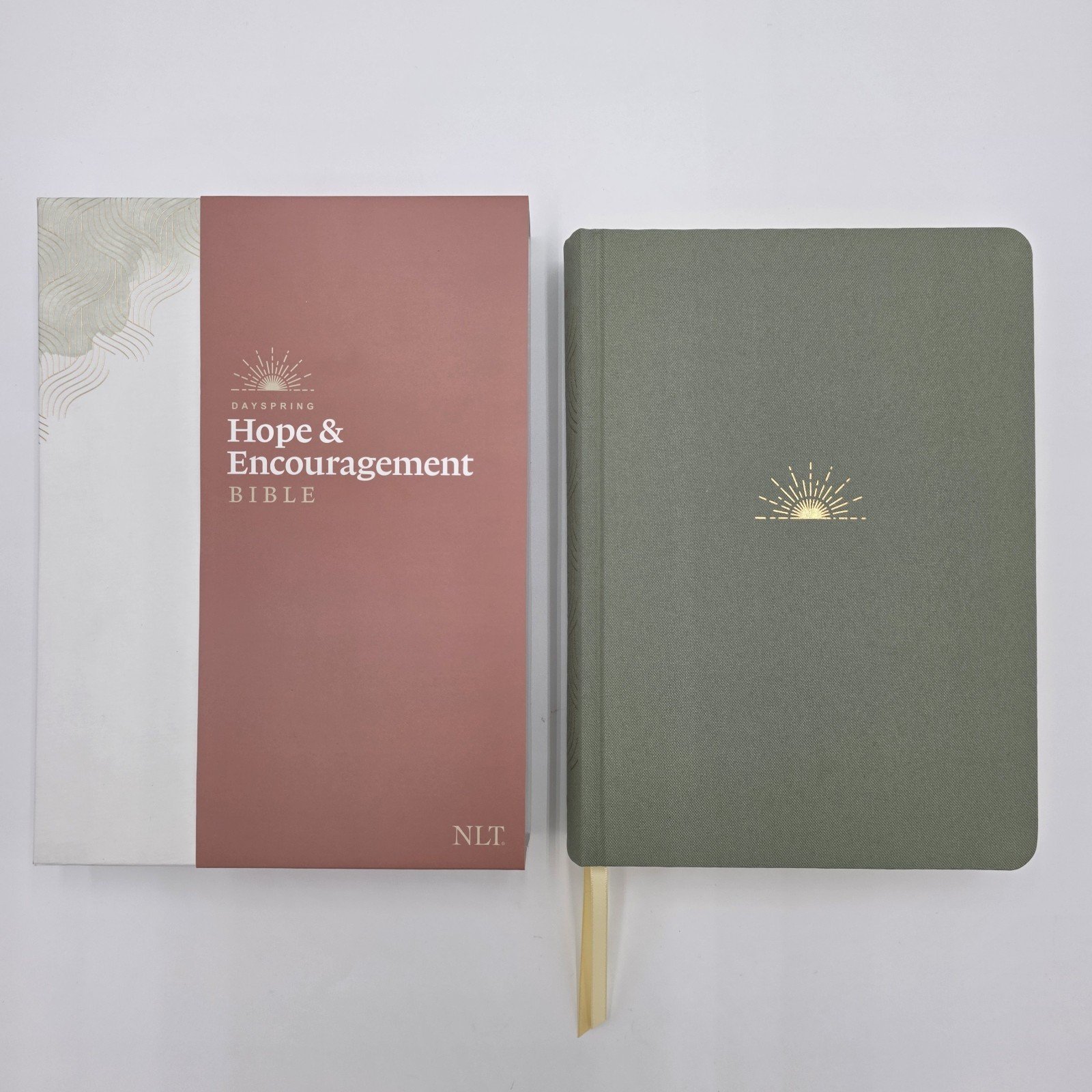 Dayspring NLT Hope & Encouragement Bible Sage Green Hard Cover Gold Foil – NEW