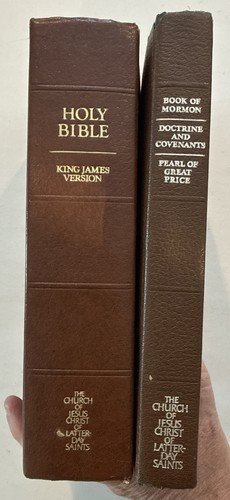 Scriptures LDS Holy Bible Book of Mormon Triple D & C P of GP + Brown Tote Lg