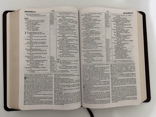 Zondervan NIV Study Bible 2002 Bonded Leather Burgundy New International AS NEW