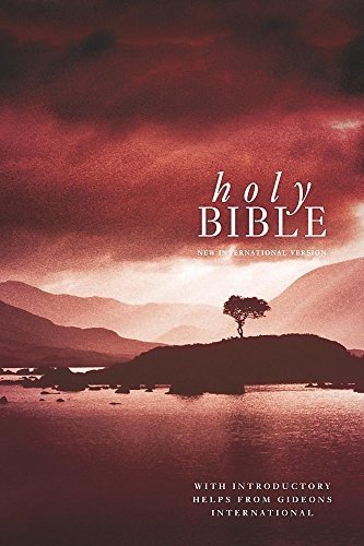 NIV Popular Bible: WITH Helps (Bible Niv) By International Bible