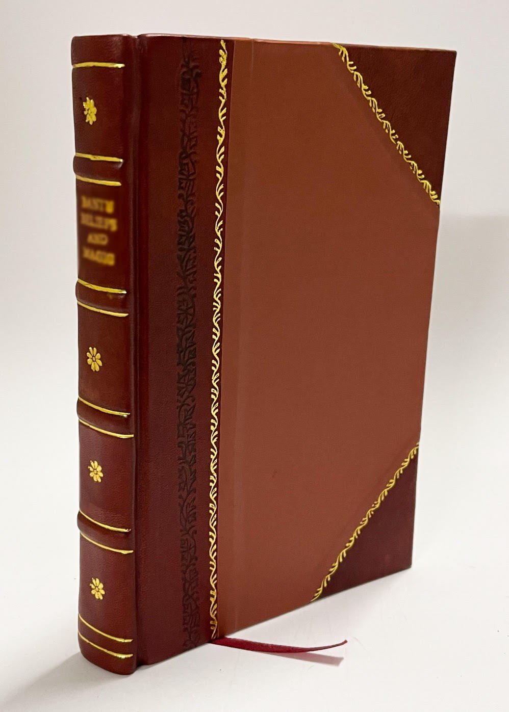 The Holy Bible Containing the Old and New Testaments, According [Leather Bound]