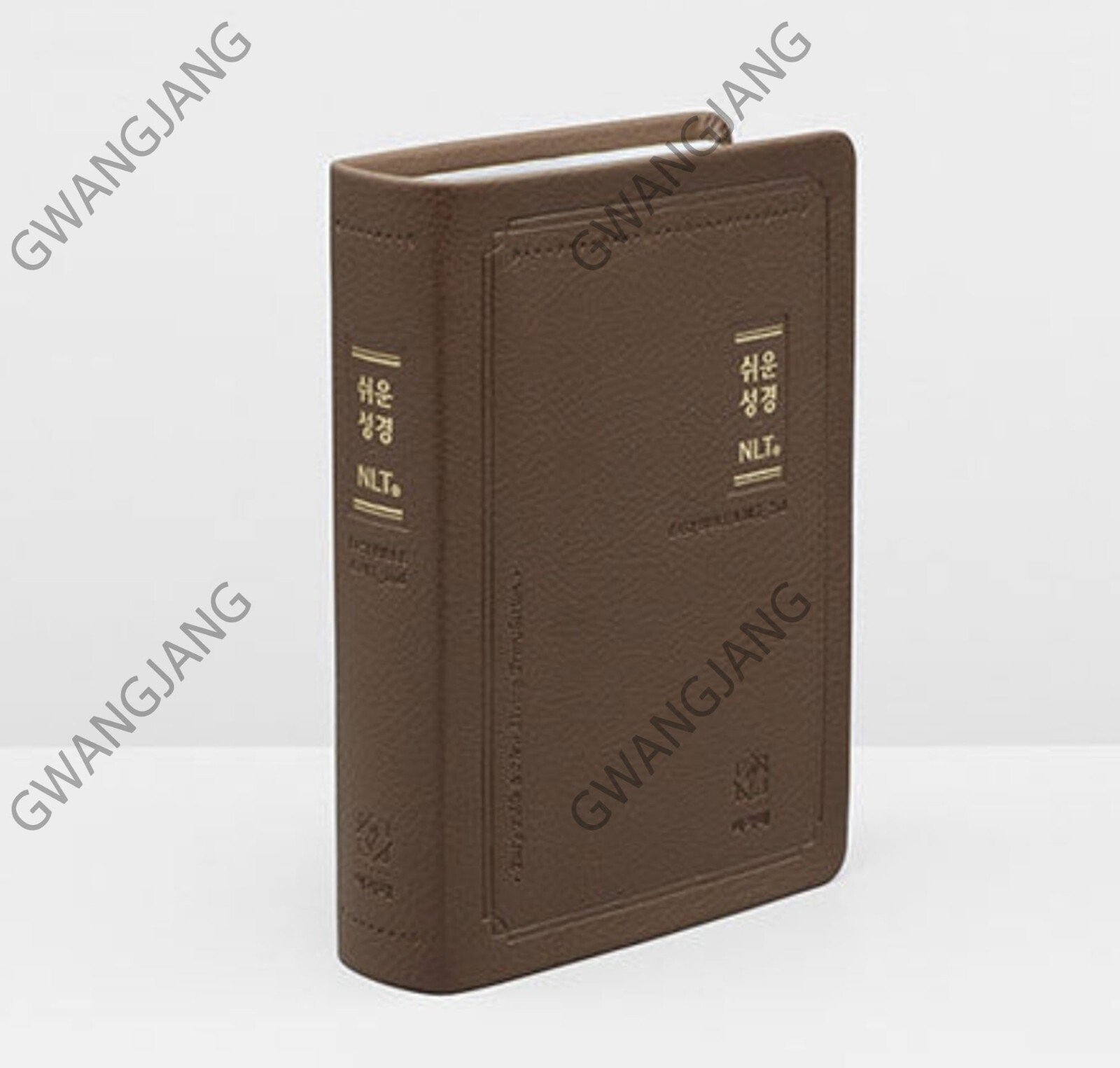 Korean Easy Bible NLT Study Holy Book Medium Size Brown Famous Jesus New