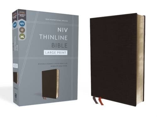 NIV, Thinline Bible, Large Print, Bonded Leather, Black, Red Letter Editi – GOOD