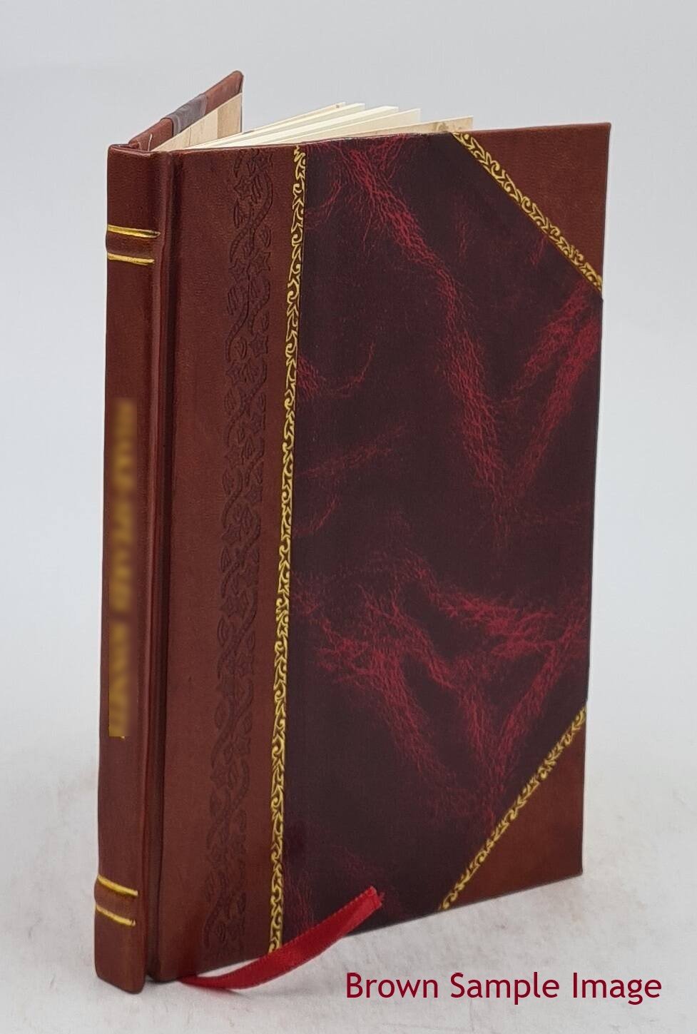 The Bible Champion 1920-11: Vol 26 Iss 11 Volume 26 1920 [Leather Bound]