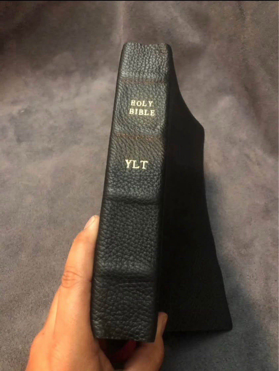 young’s literal translation bible leather Youngs
