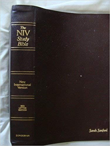 HOLY BIBLE, NEW INTERNATIONAL VERSION: STUDY BIBLE, By Not Available – Hardcover