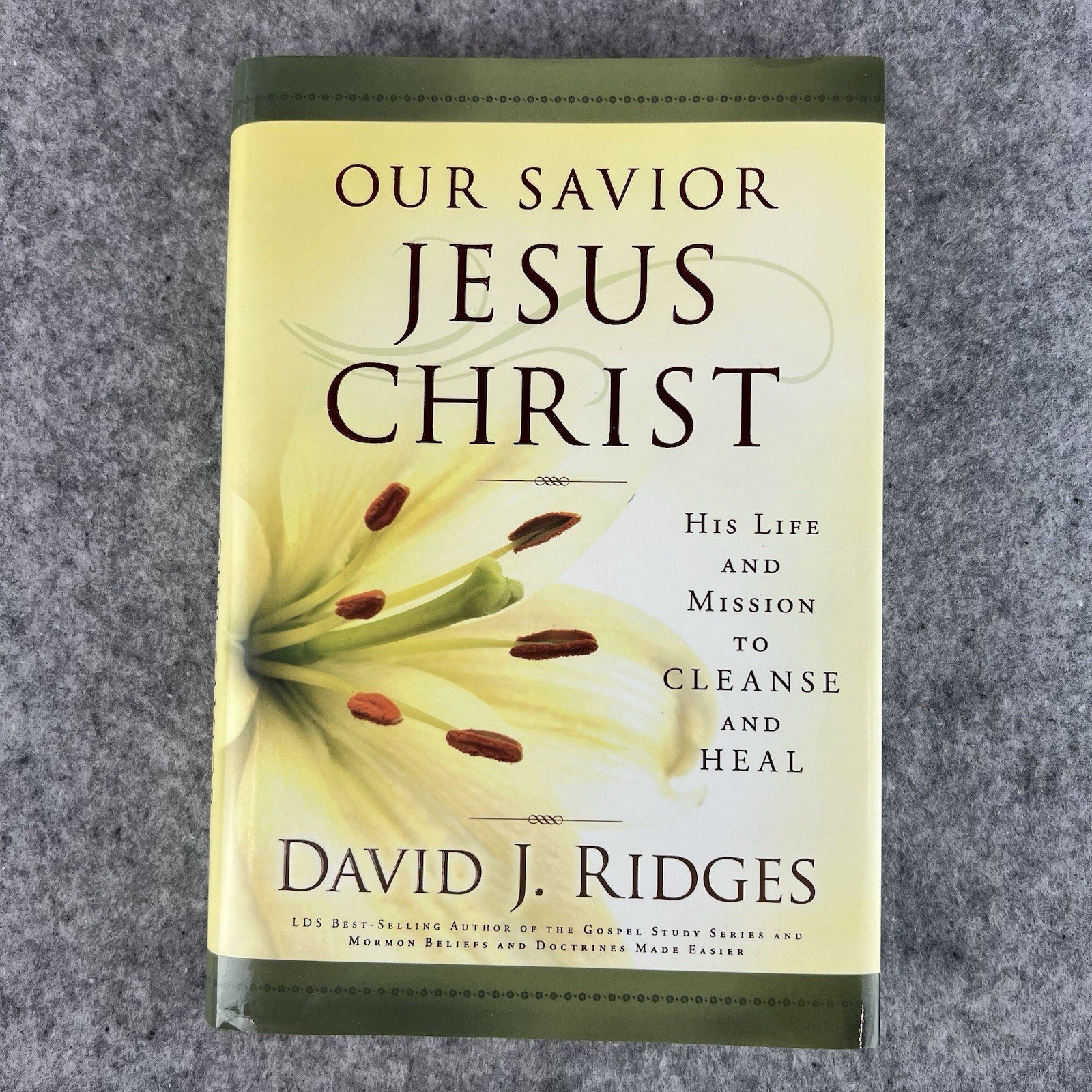 Our Savior Jesus Christ David J Ridges Hardcover 2008 Cedar Fort LDS 1st Print